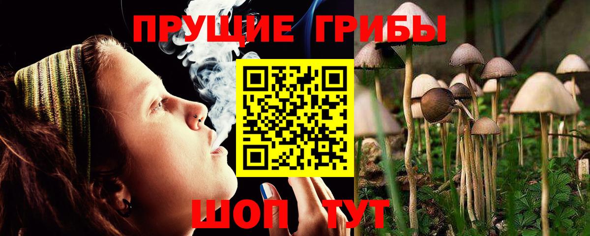 Галлюциногенные грибы MAGIC MUSHROOMS Тайшет