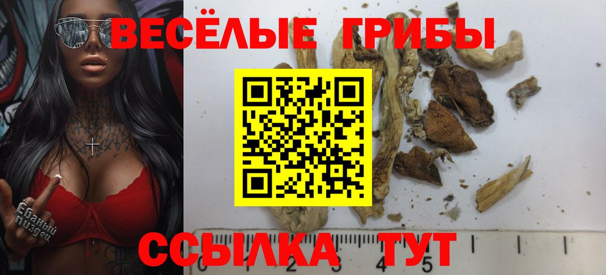 Тайшет  Псилоцибиновые грибы мухоморы  где найти   Вход с VPN 